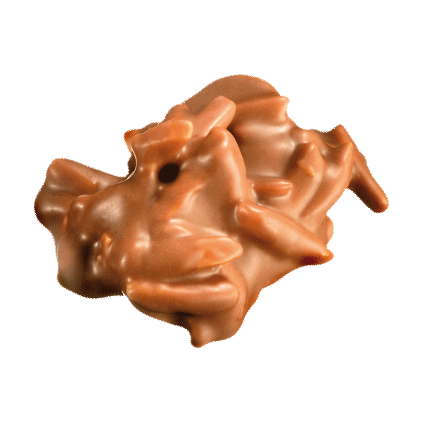 Mandelsplitter Vollmilch