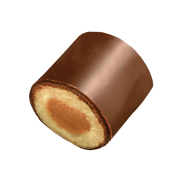 Baumstämmchen Zartbitter