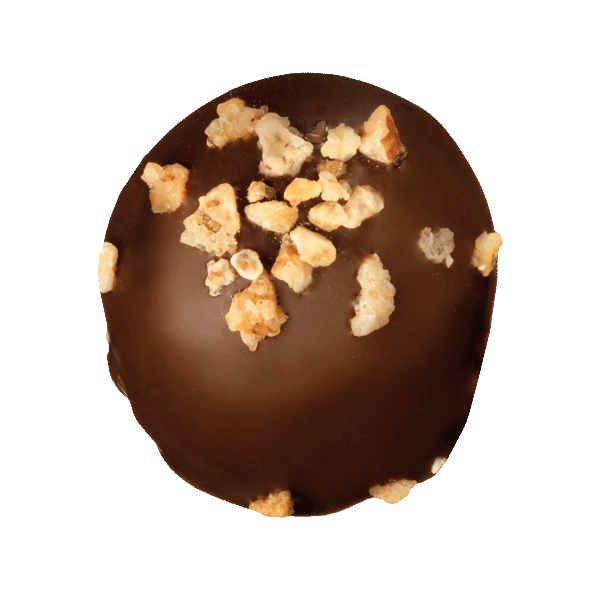 Schokocanache Zartbitter