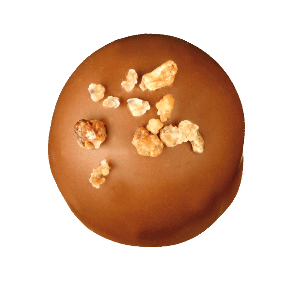 Schokocanache Vollmilch